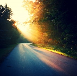 early-morning-sunrise-on-school-house-road-400x393
